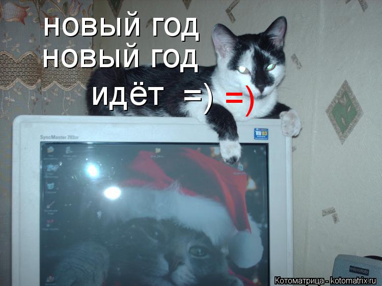 Котоматрица: новый год новый год идёт =) =)