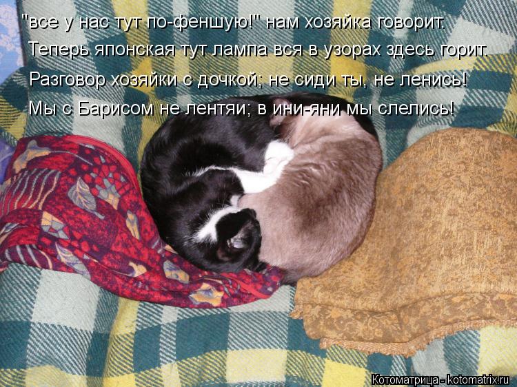 Котоматрица: "все у нас тут по-феншую!" нам хозяйка говорит. Теперь японская тут лампа вся в узорах здесь горит. Разговор хозяйки с дочкой; не сиди ты, не ле