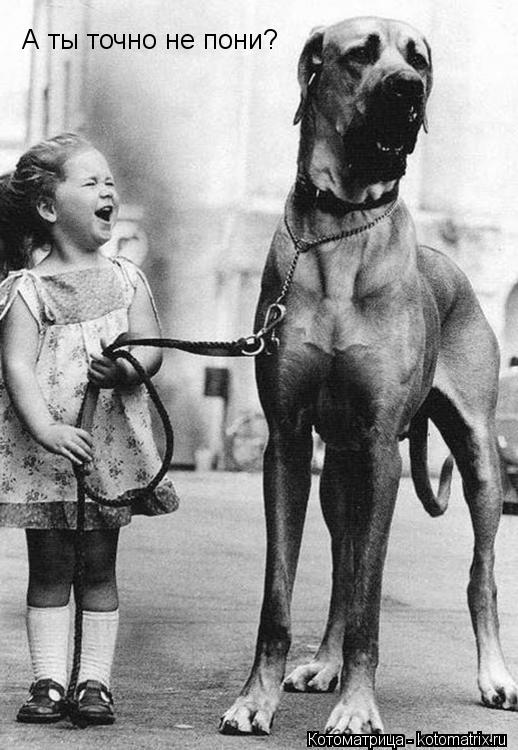 Котоматрица: А ты точно не пони?