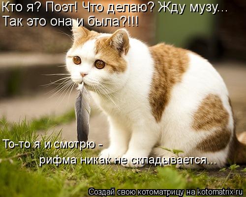 Кто я? Поэт! Что делаю? Жду музу... Так это она и была?!!! То-то я и смотрю - рифма никак не складыв... Котоматрица: Кто я? Поэт! Что делаю? Жду музу... Так это она и была?!!! То-то я и смотрю - рифма никак не складывается...