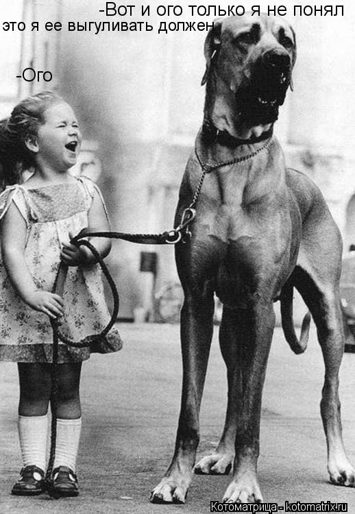 -Ого -Вот и ого только я не понял это я ее выгуливать должен... Котоматрица: -Ого -Вот и ого только я не понял это я ее выгуливать должен