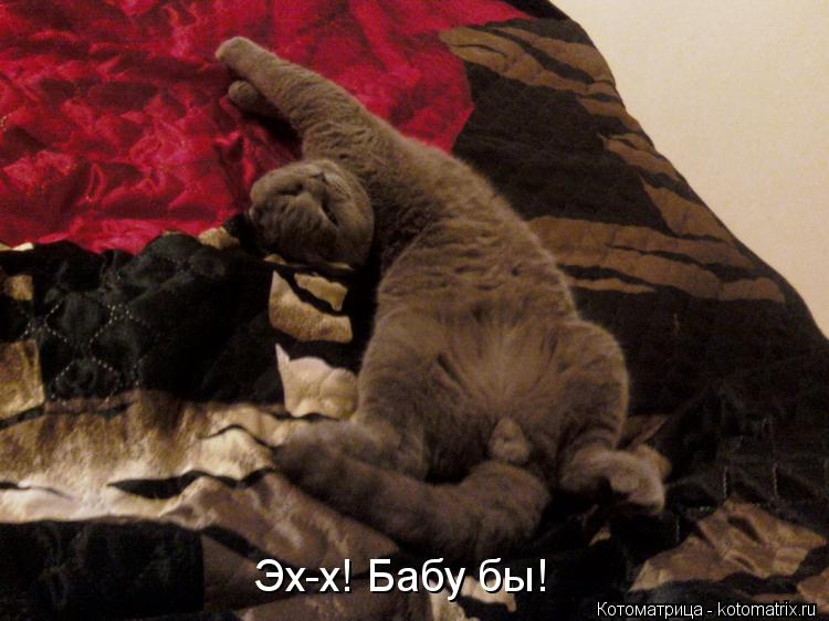 Котоматрица: Эх-х! Бабу бы!