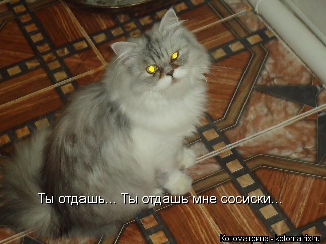 Ты отдашь... Ты отдашь мне сосиски...... Котоматрица: Ты отдашь... Ты отдашь мне сосиски...