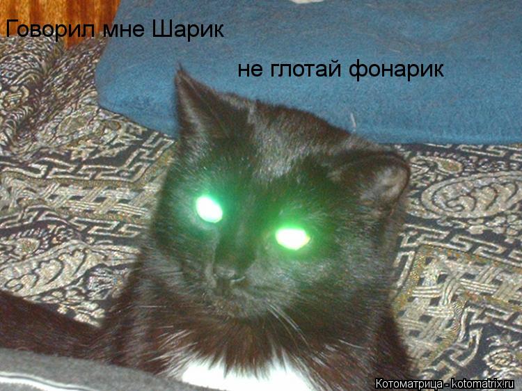 Котоматрица: Говорил мне Шарик не глотай фонарик