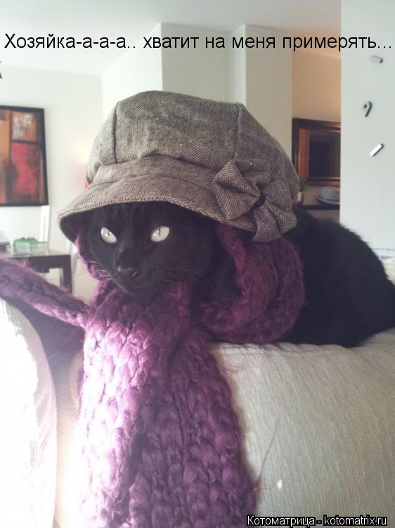 Котоматрица: Хозяйка-а-а-а.. хватит на меня примерять...