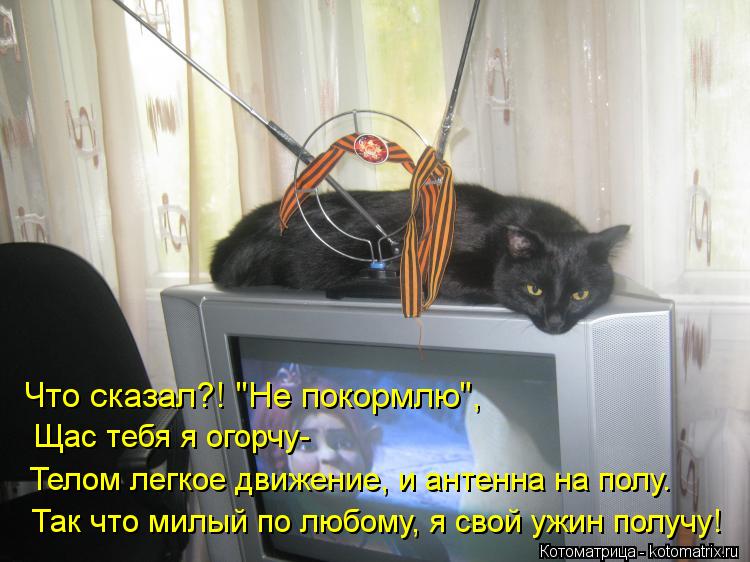 Что сказал?! "Не покормлю", Щас тебя я огорчу- Телом легкое движение, и антенна на полу. Так что милы... Котоматрица: Что сказал?! "Не покормлю", Щас тебя я огорчу- Телом легкое движение, и антенна на полу. Так что милый по любому, я свой ужин получу!