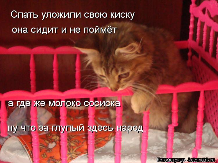 Спать уложили свою киску она сидит и не поймёт а где же молоко сосиска ну что за глупый здесь народ... Котоматрица: Спать уложили свою киску она сидит и не поймёт а где же молоко сосиска ну что за глупый здесь народ