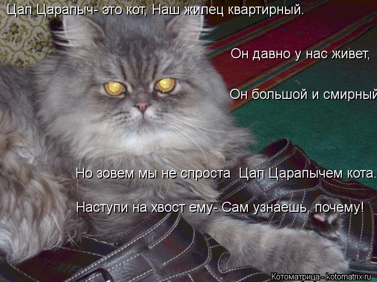 Цап Царапыч- это кот, Наш жилец квартирный. Он давно у нас живет, Он большой и смирный. Но зов... Котоматрица: Цап Царапыч- это кот, Наш жилец квартирный. Он давно у нас живет, Он большой и смирный. Но зовем мы не спроста Цап Царапычем кота. Наступи