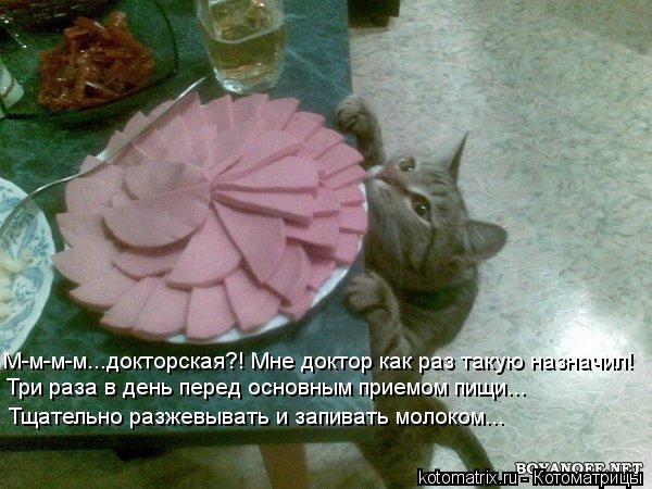 М-м-м-м...докторская?! Мне доктор как раз такую назначил! Три раза в день перед основным приемом пищи... Котоматрица: М-м-м-м...докторская?! Мне доктор как раз такую назначил! Три раза в день перед основным приемом пищи... Тщательно разжевывать и запивать молок