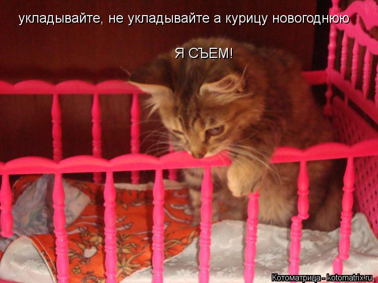 укладывайте, не укладывайте а курицу новогоднюю Я СЪЕМ!... Котоматрица: укладывайте, не укладывайте а курицу новогоднюю Я СЪЕМ!