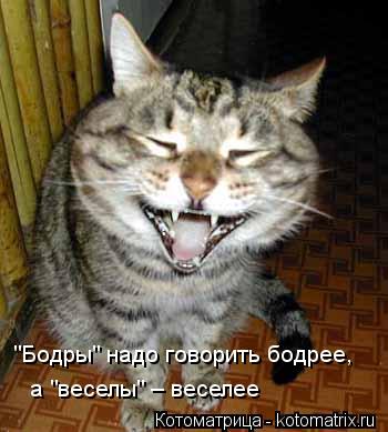 "Бодры" надо говорить бодрее, а "веселы" – веселее... Котоматрица: "Бодры" надо говорить бодрее, а "веселы" – веселее