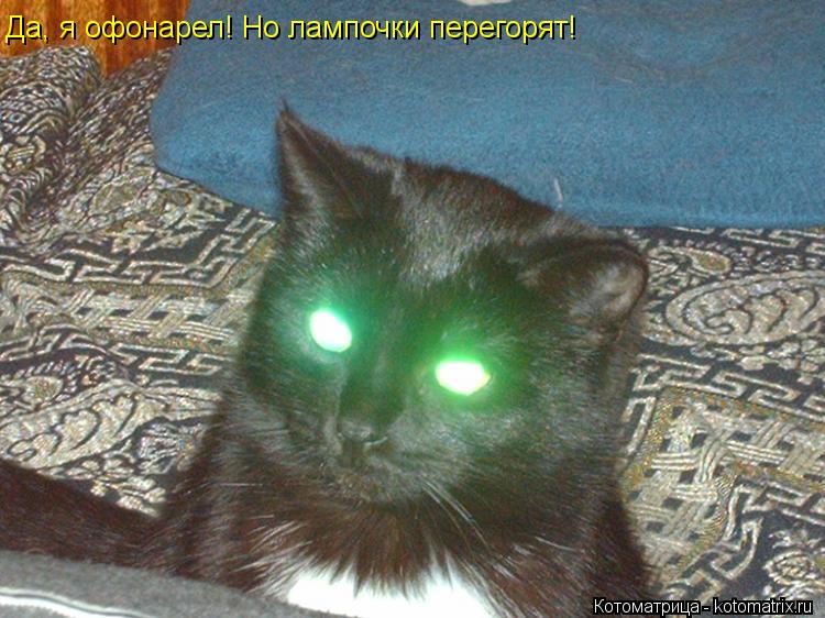 Да, я офонарел! Но лампочки перегорят!... Котоматрица: Да, я офонарел! Но лампочки перегорят!