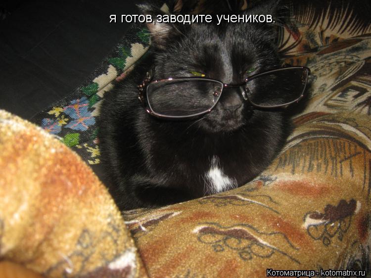 Котоматрица: я готов,заводите учеников.