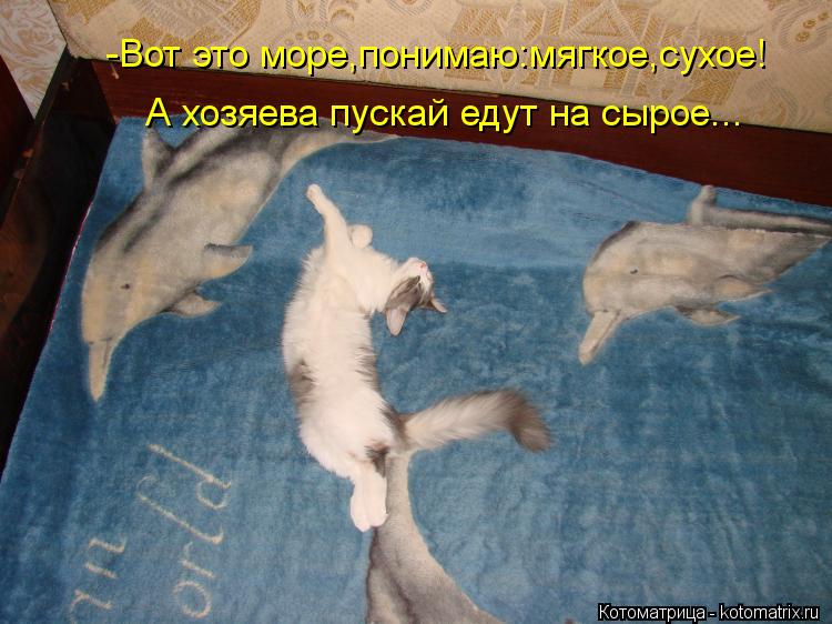 Котоматрица: А хозяева пускай едут на сырое... -Вот это море,понимаю:мягкое,сухое!