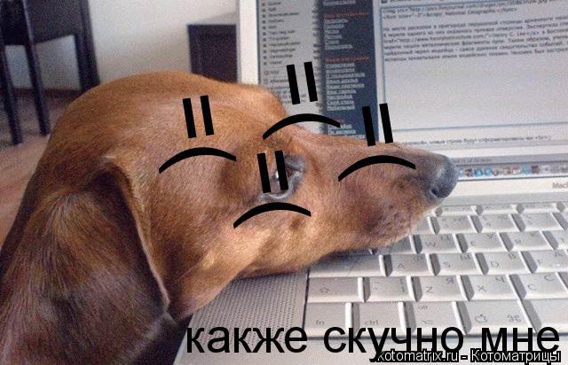 Котоматрица: какже скучно мне =( =( =( =(