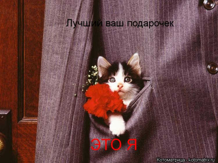 Лучший ваш подарочек ЭТО Я... Котоматрица: Лучший ваш подарочек ЭТО Я