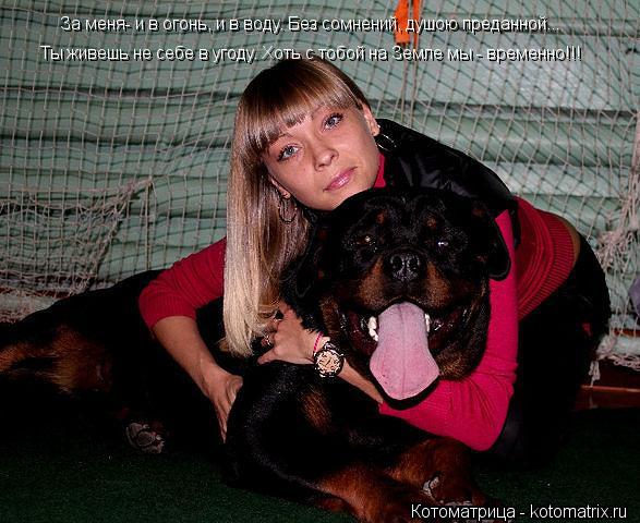 Котоматрица: Ты живешь не себе в угоду. Хоть с тобой на Земле мы - временно!!! За меня- и в огонь, и в воду. Без сомнений, душою преданной...