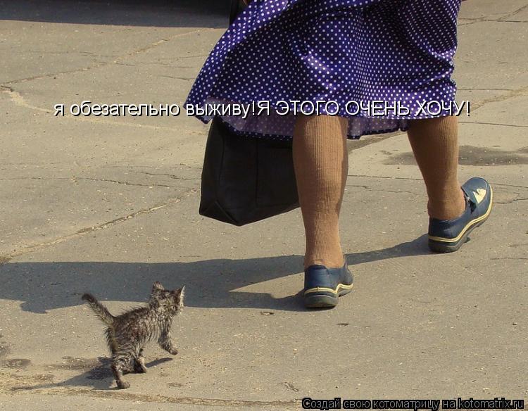 я обезательно выживу!Я ЭТОГО ОЧЕНЬ ХОЧУ!... Котоматрица: я обезательно выживу!Я ЭТОГО ОЧЕНЬ ХОЧУ!