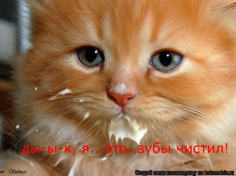 Котоматрица: ды-ы-к, я...это..зубы чистил!