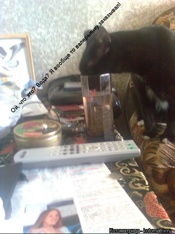 Котоматрица: Ой, что это? Вода? Я вообще то валерьянку заказывал!