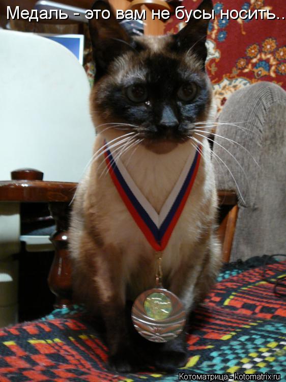 Медаль - это вам не бусы носить...... Котоматрица: Медаль - это вам не бусы носить...