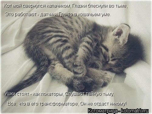 Котоматрица: Кот мой свернулся калачиком, Глазки блеснули во тьме, Это работают - датчики Где-то в кошачьем уме. Ушки стоят - как локаторы, Слушают тайную 