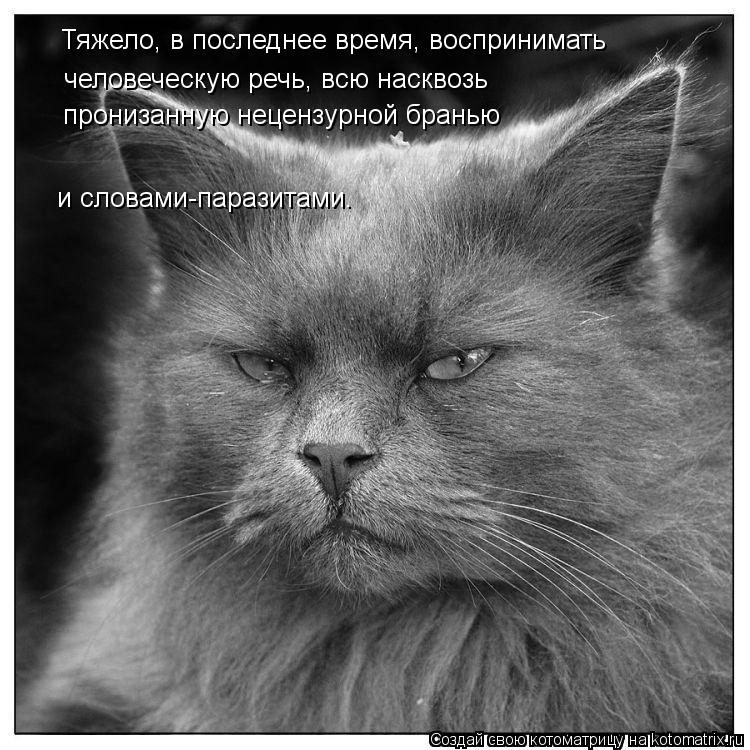 Котоматрица: человеческую речь, всю насквозь пронизанную нецензурной бранью  и словами-паразитами. Тяжело, в последнее время, воспринимать