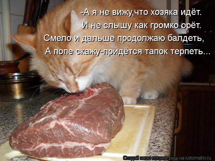 Котоматрица: -А я не вижу,что хозяка идёт. И не слышу как громко орёт. Смело и дальше продолжаю балдеть, А попе скажу-придётся тапок терпеть...