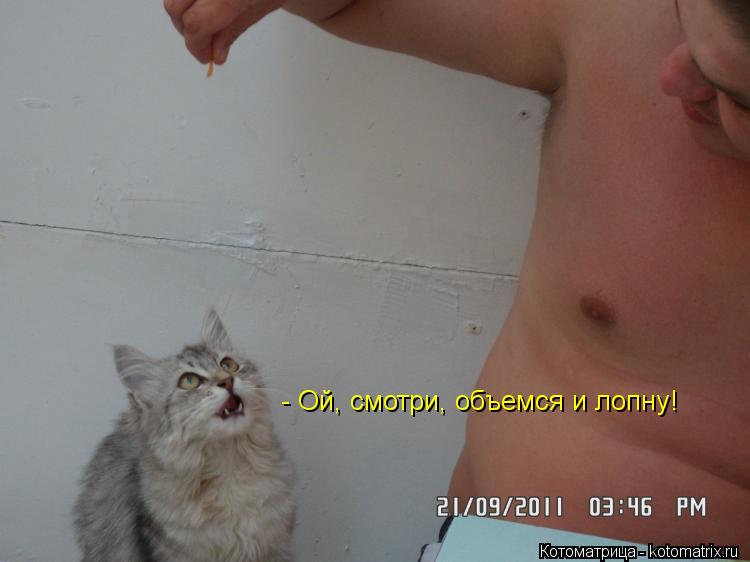 Котоматрица: - Ой, смотри, объемся и лопну!