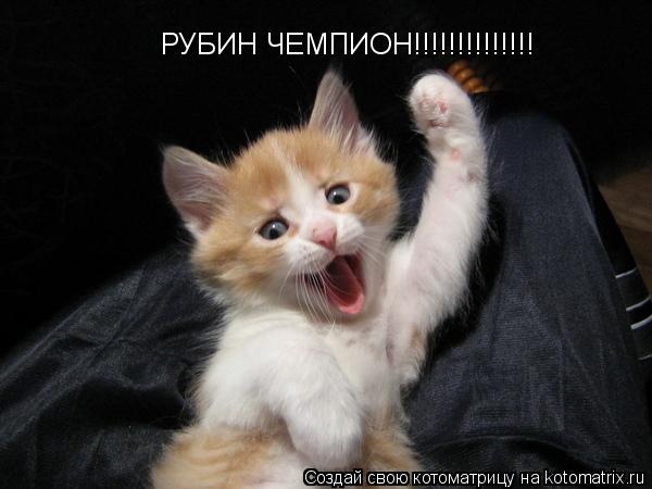 Котоматрица: РУБИН ЧЕМПИОН!!!!!!!!!!!!!!