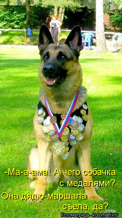 -Ма-а-ама! А чего собачка с медалями? Она дядю-маршала съела, да?... Котоматрица: -Ма-а-ама! А чего собачка с медалями? Она дядю-маршала съела, да?