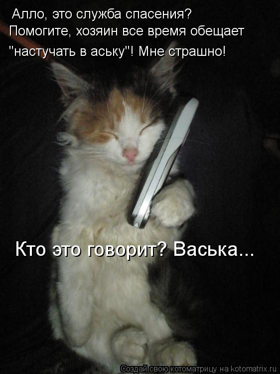 Алло, это служба спасения? Помогите, хозяин все время обещает "настучать в аську"! Мне страшно! Кто... Котоматрица: Алло, это служба спасения? Помогите, хозяин все время обещает "настучать в аську"! Мне страшно! Кто это говорит? Васька...