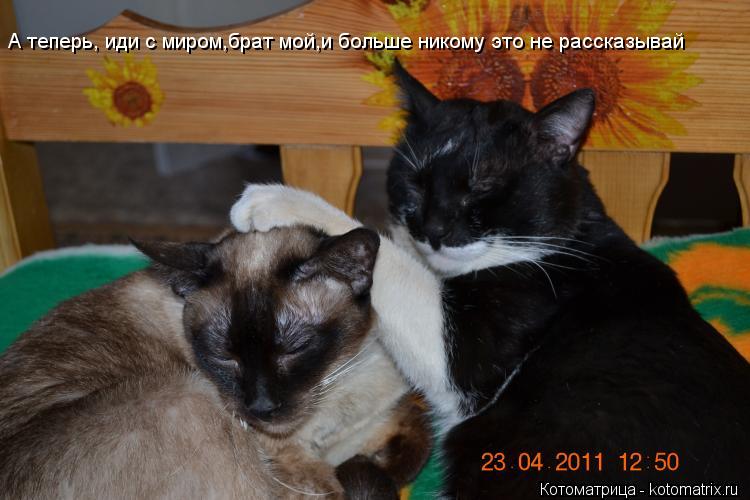 Котоматрица: А теперь, иди с миром,брат мой,и больше никому это не рассказывай