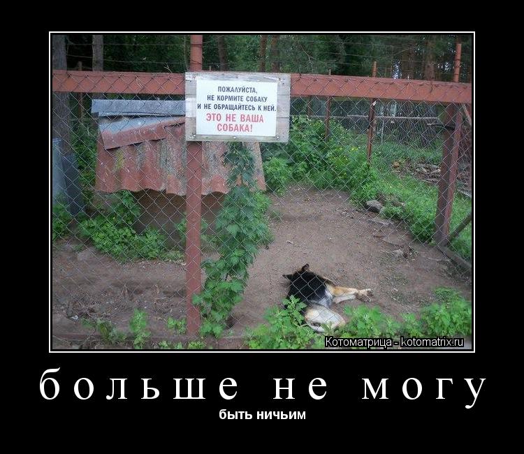 больше не могу быть ничьим... Котоматрица: больше не могу быть ничьим