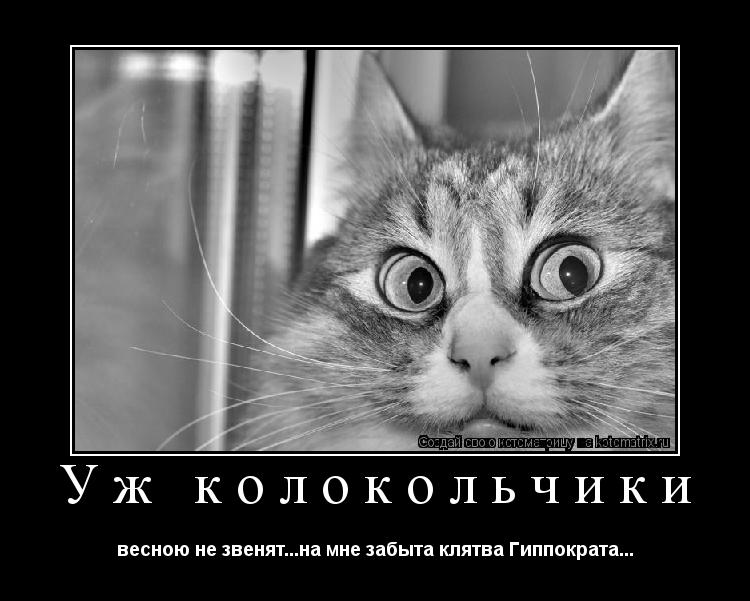 Котоматрица: Уж колокольчики весною не звенят...на мне забыта клятва Гиппократа...