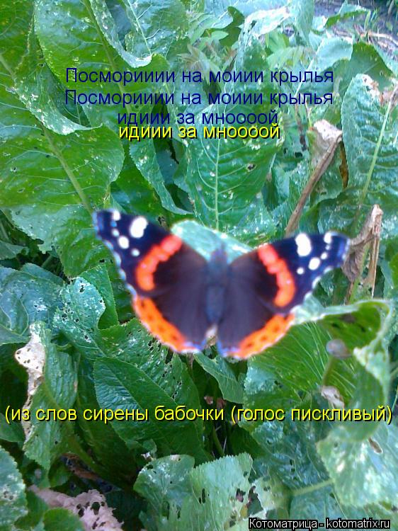 Котоматрица: Посморииии на моиии крылья Посморииии на моиии крылья идиии за мноооой идиии за мноооой (из слов сирены бабочки (голос пискливый)