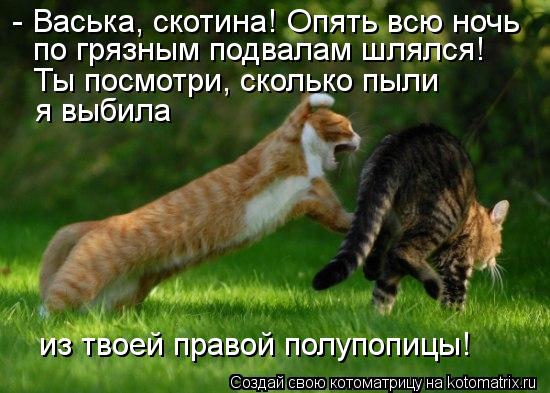 - Васька, скотина! Опять всю ночь по грязным подвалам шлялся! Ты посмотри, сколько пыли я выбила из т... Котоматрица: - Васька, скотина! Опять всю ночь по грязным подвалам шлялся! Ты посмотри, сколько пыли я выбила из твоей правой полупопицы!