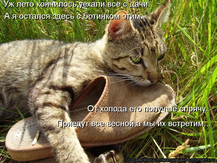 Уж лето кончилось,уехали все с дачи. А я остался здесь с ботинком этим. От холода его получше спрячу.... Котоматрица: Уж лето кончилось,уехали все с дачи. А я остался здесь с ботинком этим. От холода его получше спрячу. Приедут все весной,а мы их встретим...