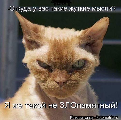 -Откуда у вас такие жуткие мысли? Я же такой не ЗЛОпамятный!... Котоматрица: -Откуда у вас такие жуткие мысли? Я же такой не ЗЛОпамятный!