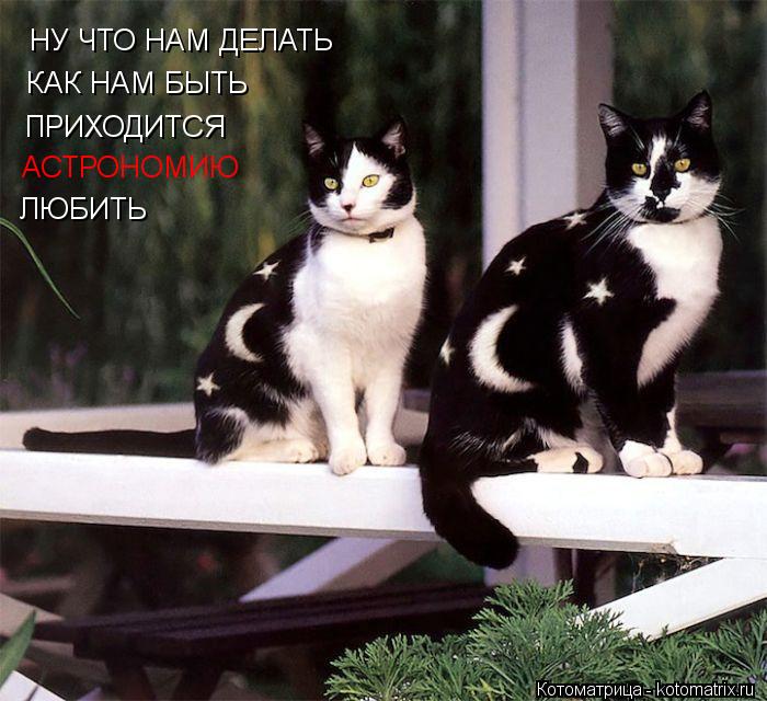 НУ ЧТО НАМ ДЕЛАТЬ КАК НАМ БЫТЬ ПРИХОДИТСЯ АСТРОНОМИЮ ЛЮБИТЬ... Котоматрица: НУ ЧТО НАМ ДЕЛАТЬ КАК НАМ БЫТЬ ПРИХОДИТСЯ АСТРОНОМИЮ ЛЮБИТЬ