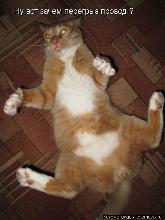 Котоматрица: Ну вот зачем перегрыз провод!?