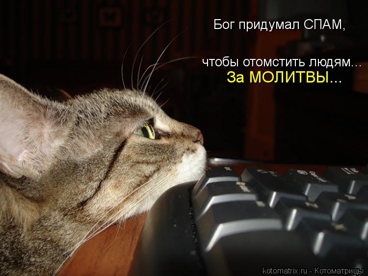 Котоматрица: чтобы отомстить людям... За МОЛИТВЫ... Бог придумал СПАМ,