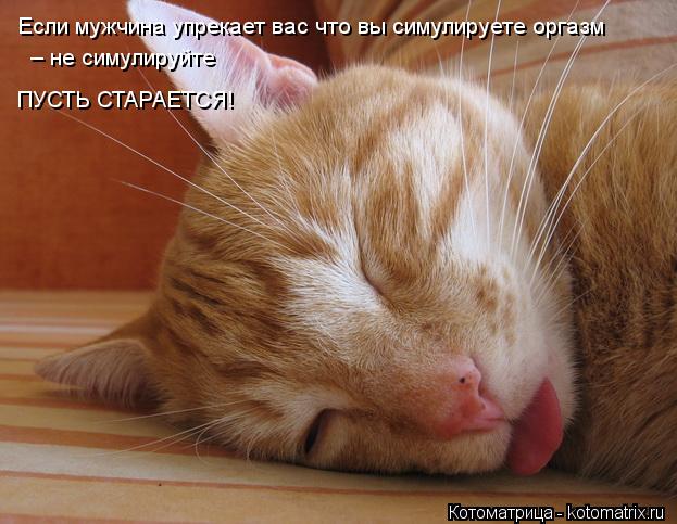 Котоматрица: Если мужчина упрекает вас что вы симулируете оргазм – не симулируйте ПУСТЬ СТАРАЕТСЯ!