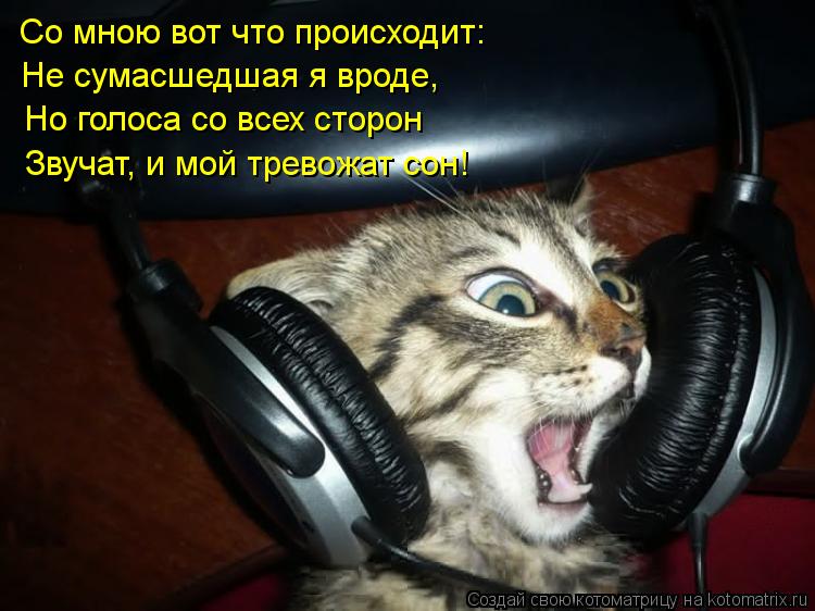 Котоматрица: Со мною вот что происходит: Не сумасшедшая я вроде, Но голоса со всех сторон Звучат, и мой тревожат сон!