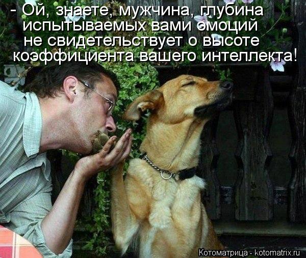 Котоматрица: - Ой, знаете, мужчина, глубина испытываемых вами эмоций не свидетельствует о высоте коэффициента вашего интеллекта!