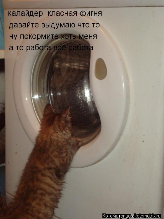 Котоматрица: калайдер  класная фигня давайте выдумаю что то ну покормите хоть меня а то работа всё работа