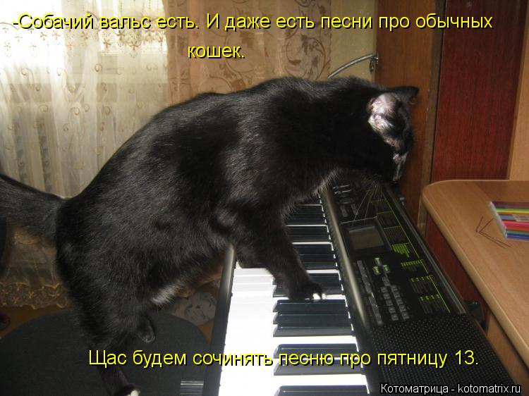 -Собачий вальс есть. И даже есть песни про обычных кошек. Щас будем сочинять песню про пятницу 13.... Котоматрица: -Собачий вальс есть. И даже есть песни про обычных кошек. Щас будем сочинять песню про пятницу 13.
