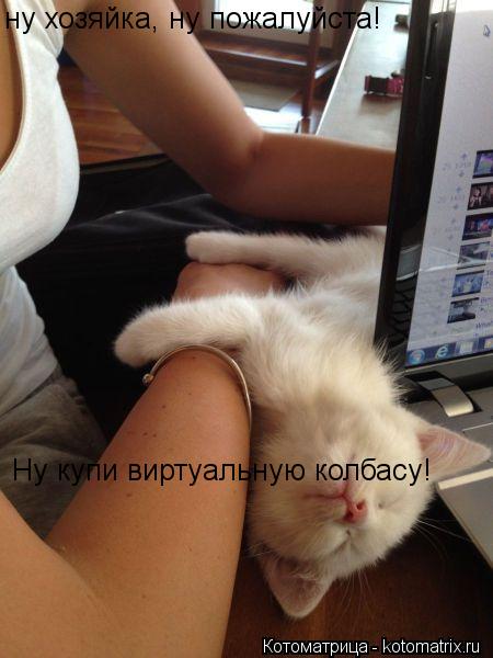 ну хозяйка, ну пожалуйста! Ну купи виртуальную колбасу!... Котоматрица: ну хозяйка, ну пожалуйста! Ну купи виртуальную колбасу!