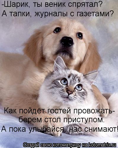 -Шарик, ты веник спрятал? А тапки, журналы с газетами? Как пойдёт гостей провожать- берем стол присту... Котоматрица: -Шарик, ты веник спрятал? А тапки, журналы с газетами? Как пойдёт гостей провожать- берем стол приступом. А пока улыбайся, нас снимают!