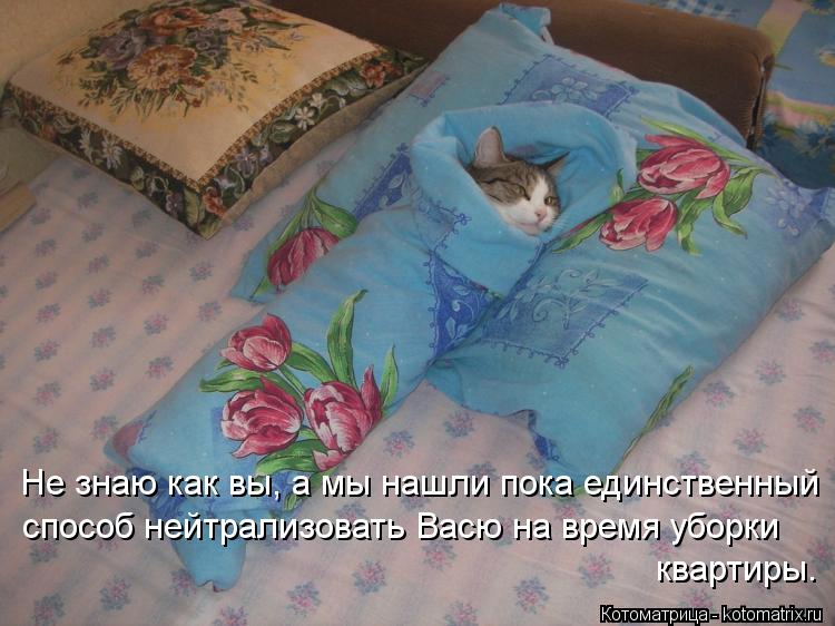 Котоматрица: Не знаю как вы, а мы нашли пока единственный способ нейтрализовать Васю на время уборки квартиры.